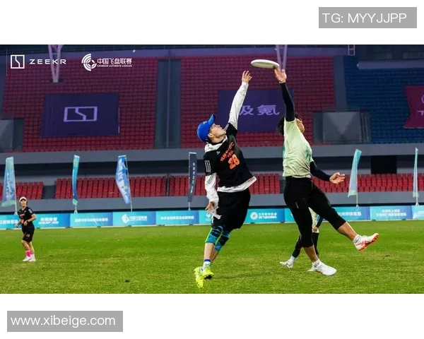 中国首支职业飞盘队成立，联赛系统即将上线